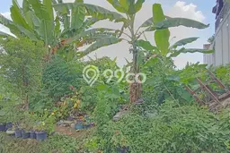 Tanah di Tabanan, Tabanan Luas 300m2 Dijual Segera Tanah di Tabanan, Tabanan Luas 300m2 Dijual Segera
