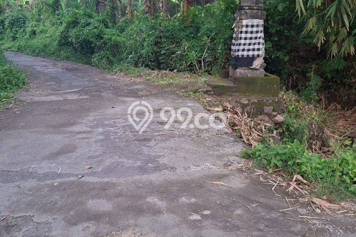Tanah Komersial Dijual di Seririt Buleleng 20019m2 Tanah Komersial Dijual di Seririt Buleleng 20019m2