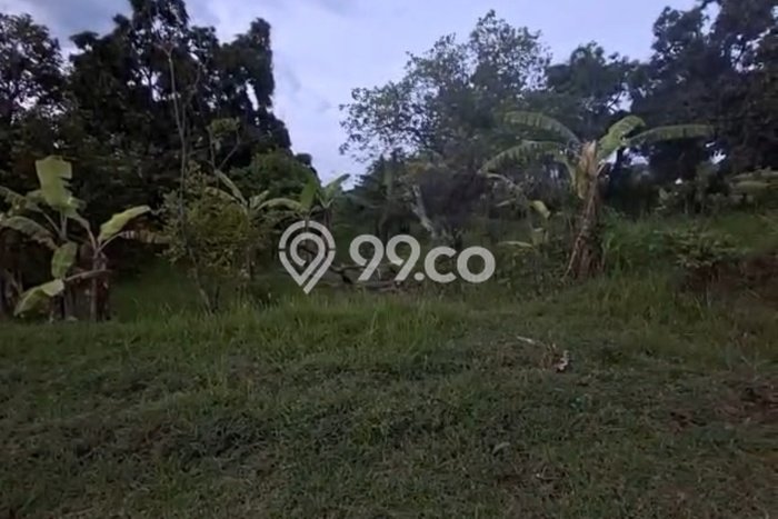 Tanah Komersial Dijual di Seririt Buleleng 20019m2 Tanah Komersial Dijual di Seririt Buleleng 20019m2