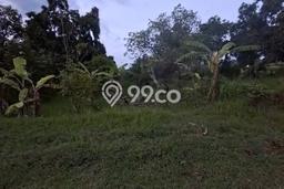 Tanah Komersial Dijual di Seririt Buleleng 20019m2 Tanah Komersial Dijual di Seririt Buleleng 20019m2
