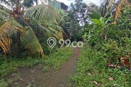 Kavling Tanah Dijual di Gianyar, Gianyar, Luas 6780m2 Area Strategis Kavling Tanah Dijual di Gianyar, Gianyar, Luas 6780m2 Area Strategis
