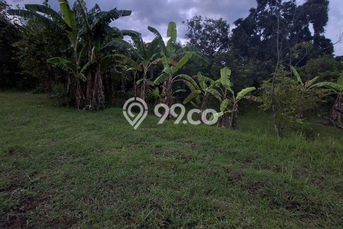 Tanah Komersial Dijual di Seririt Buleleng 20019m2 Tanah Komersial Dijual di Seririt Buleleng 20019m2