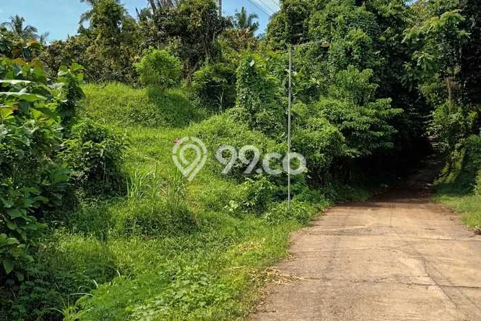 Lahan Dijual Lokasi Strategis di Buleleng dengan Luas 7225m2 Lahan Dijual Lokasi Strategis di Buleleng dengan Luas 7225m2
