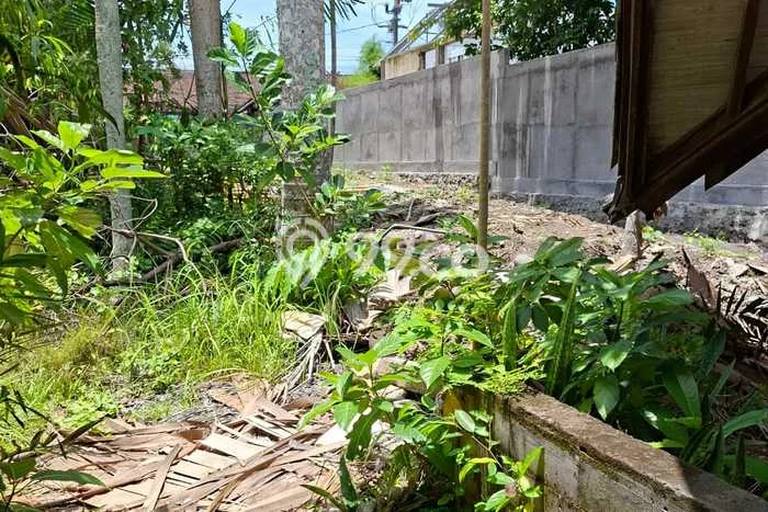 Kavling Tanah untuk Disewa di Umalas Lahan Luas 970m2 Kavling Tanah untuk Disewa di Umalas Lahan Luas 970m2