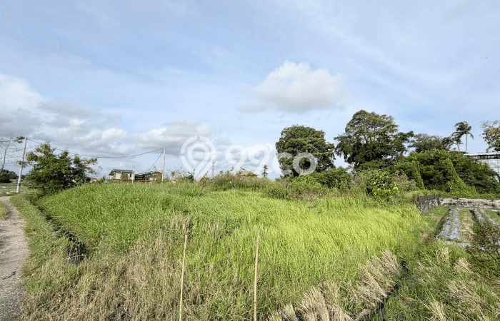 Kavling Tanah Lokasi Strategis di Mengwi, Badung Disewakan 16485m2 Kavling Tanah Lokasi Strategis di Mengwi, Badung Disewakan 16485m2