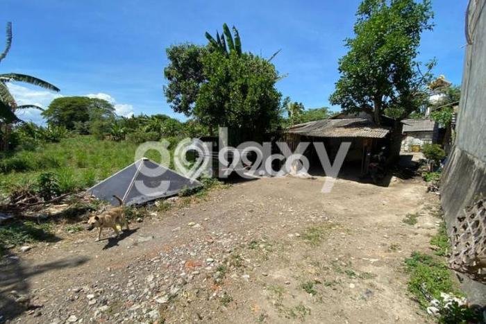 Lahan Kosong Dijual di Denpasar Selatan, Denpasar, Luas 1950m2 Area Strategis Lahan Kosong Dijual di Denpasar Selatan, Denpasar, Luas 1950m2 Area Strategis