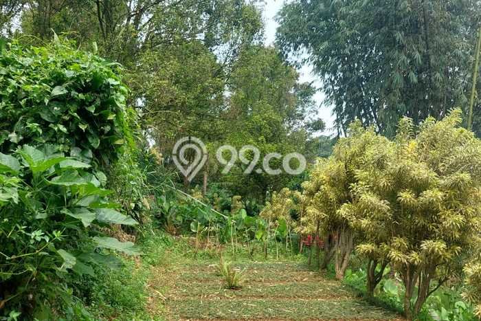 Kavling Tanah Dijual di Parongpong Bandung Barat Spesifikasi 14m2 Kavling Tanah Dijual di Parongpong Bandung Barat Spesifikasi 14m2