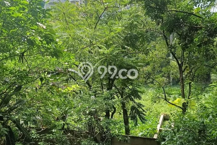 Dijual Tanah Lokasi Pondok Labu, Jakarta Selatan Seluas 8000m2 Dijual Tanah Lokasi Pondok Labu, Jakarta Selatan Seluas 8000m2