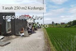 Kavling Tanah untuk Dijual di Beraban, Tabanan, Luas 250m2 Kavling Tanah untuk Dijual di Beraban, Tabanan, Luas 250m2