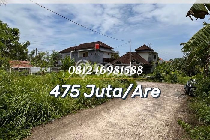 Dijual Tanah di Tabanan, Luas 150m2 SHM Dijual Tanah di Tabanan, Luas 150m2 SHM