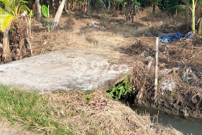 Tanah Investasi Dijual di Tabanan Punya Luas 900m2 Tanah Investasi Dijual di Tabanan Punya Luas 900m2