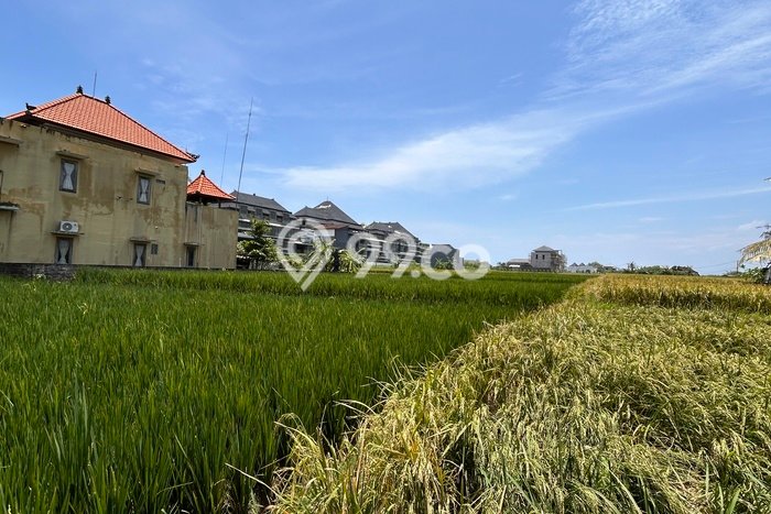 Lahan Dijual Lokasi Strategis di Tabanan dengan Luas 2320m2 Lahan Dijual Lokasi Strategis di Tabanan dengan Luas 2320m2