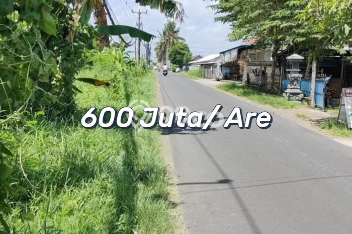Tanah Area Potensial Kawasan , Luas 6600m2m², Lingkungan Nyaman, Dekat Tabanan, Tabanan Tanah Area Potensial Kawasan , Luas 6600m2m², Lingkungan Nyaman, Dekat Tabanan, Tabanan