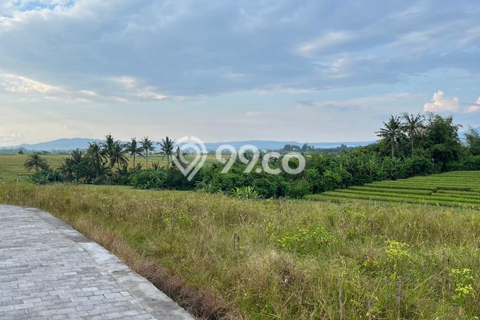 Untuk Dijual Tanah 400m2 di Tibubiyu, Tabanan Untuk Dijual Tanah 400m2 di Tibubiyu, Tabanan
