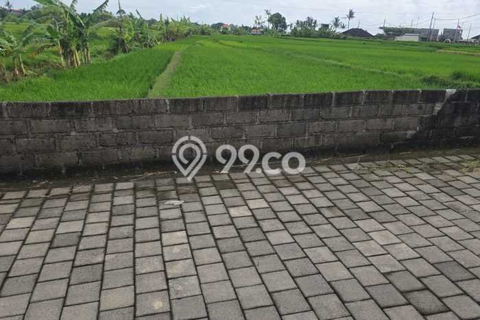Dijual Tanah Lokasi Kedungu, Tabanan Seluas 452m2 Dijual Tanah Lokasi Kedungu, Tabanan Seluas 452m2