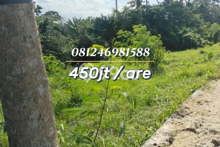 Tanah Kavling Dijual di Tabanan dengan Spesifikasi 735m2 Tanah Kavling Dijual di Tabanan dengan Spesifikasi 735m2
