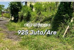 Tanah Dijual di Tabanan Seluas 560m2 Strategis Tanah Dijual di Tabanan Seluas 560m2 Strategis