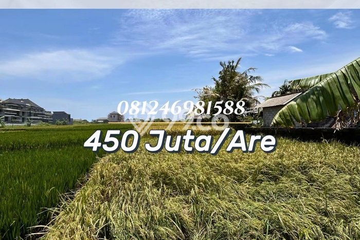 Lahan Dijual Lokasi Strategis di Tabanan dengan Luas 2320m2 Lahan Dijual Lokasi Strategis di Tabanan dengan Luas 2320m2