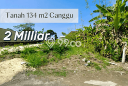 Dijual Tanah Lokasi Canggu, Badung Seluas 134m2 Dijual Tanah Lokasi Canggu, Badung Seluas 134m2