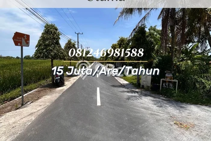Lahan untuk Disewa di Tabanan Luas 200m2 Lahan untuk Disewa di Tabanan Luas 200m2