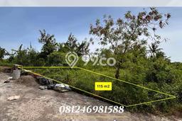 Tanah Dijual di Tabanan Seluas 115m2 Strategis Tanah Dijual di Tabanan Seluas 115m2 Strategis