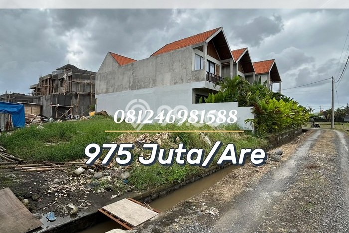 Tanah Dijual Area Strategis di Beraban Tabanan 252m2 Tanah Dijual Area Strategis di Beraban Tabanan 252m2