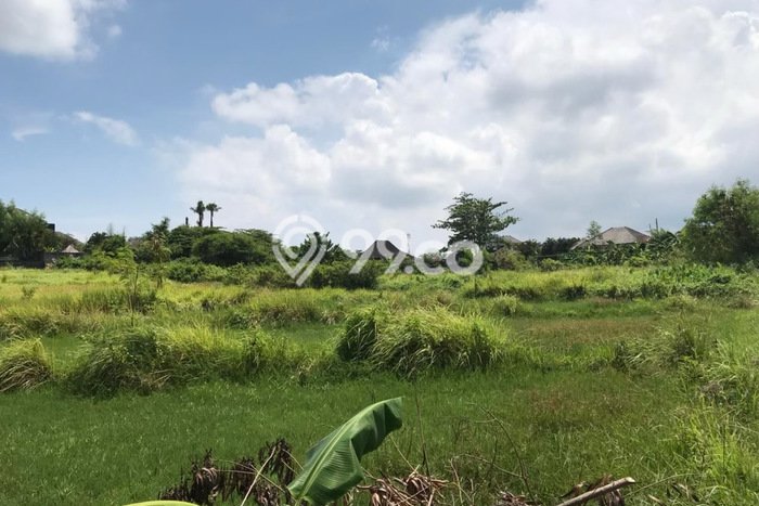 Tanah Kavling Dijual di Umalas, Badung dengan Luas Tanah 2100m2 Tanah Kavling Dijual di Umalas, Badung dengan Luas Tanah 2100m2