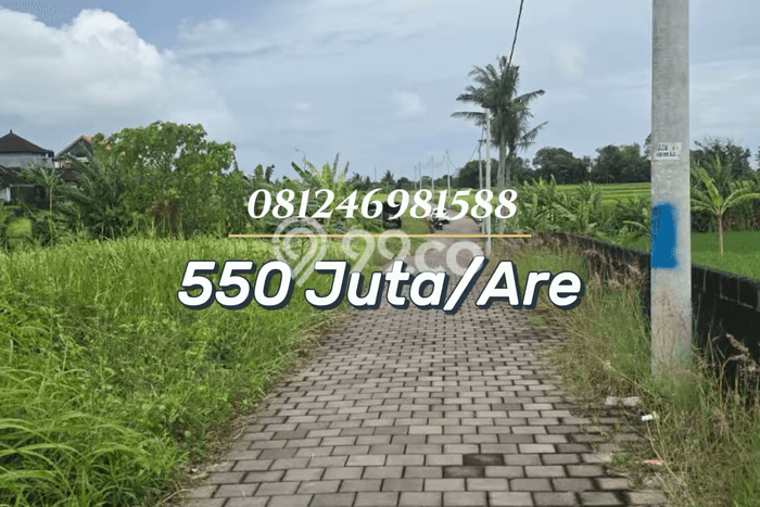 Dijual Tanah Lokasi Kedungu, Tabanan Seluas 452m2 Dijual Tanah Lokasi Kedungu, Tabanan Seluas 452m2