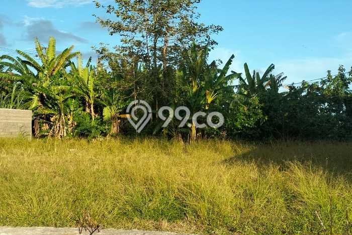 Untuk Dijual Tanah 403m2 di Kedungu, Tabanan Untuk Dijual Tanah 403m2 di Kedungu, Tabanan