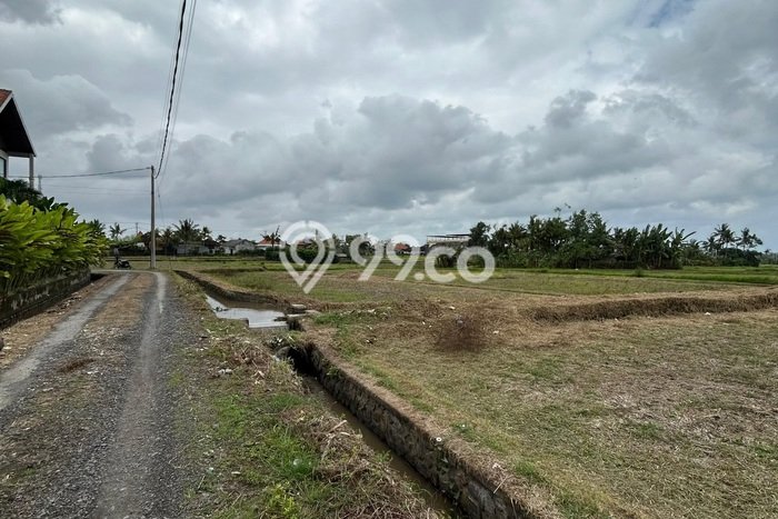 Tanah Dijual Area Strategis di Beraban Tabanan 252m2 Tanah Dijual Area Strategis di Beraban Tabanan 252m2