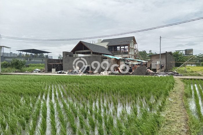 Kavling Tanah untuk Dijual di Beraban, Tabanan, Luas 250m2 Kavling Tanah untuk Dijual di Beraban, Tabanan, Luas 250m2