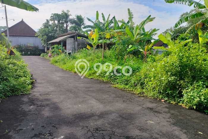 Tanah Dijual di Tabanan Seluas 200m2 Strategis Tanah Dijual di Tabanan Seluas 200m2 Strategis