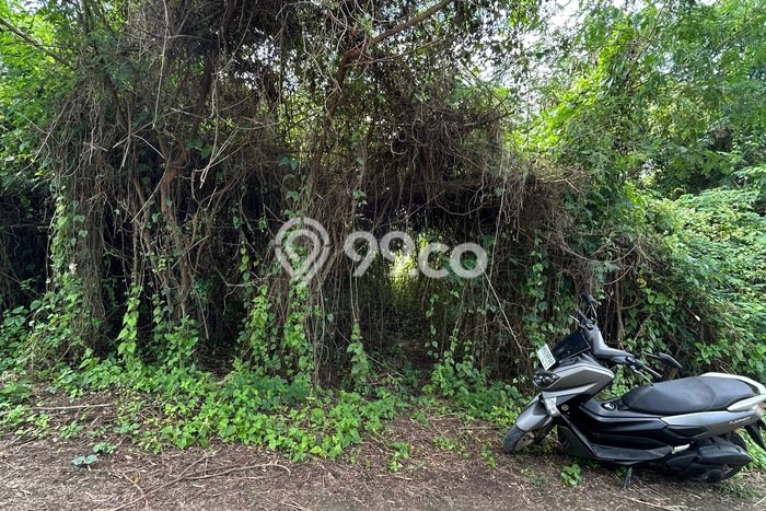 HOT DEAL! Tanah Kawasan Pandakgede, Luas 110m², Lokasi Strategis HOT DEAL! Tanah Kawasan Pandakgede, Luas 110m², Lokasi Strategis