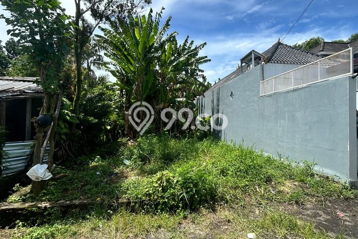 Dijual Tanah 165m2 di Pandakgede, Tabanan Dijual Tanah 165m2 di Pandakgede, Tabanan
