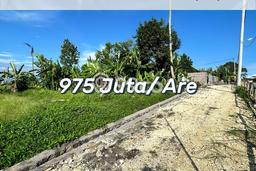Tanah Kavling Dijual di Beraban, Tabanan dengan Luas Tanah 300m2 Tanah Kavling Dijual di Beraban, Tabanan dengan Luas Tanah 300m2