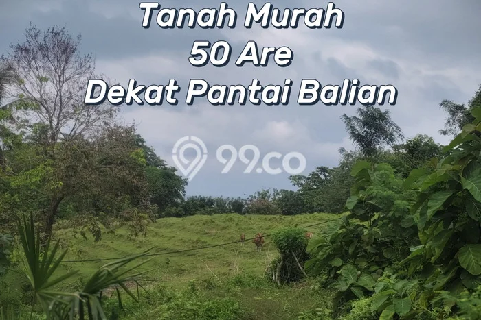 HARGA TERBAIK! Tanah Kawasan Lalanglinggah, Luas 5000m², Akses Jalan Utama, Cocok untuk Hunian HARGA TERBAIK! Tanah Kawasan Lalanglinggah, Luas 5000m², Akses Jalan Utama, Cocok untuk Hunian