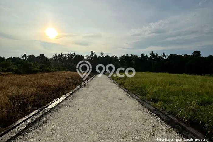 Tanah Kavling Dijual di Pandakgede, Tabanan dengan Luas Tanah 100m2 Tanah Kavling Dijual di Pandakgede, Tabanan dengan Luas Tanah 100m2