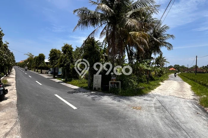 Lahan untuk Disewa di Tabanan Luas 200m2 Lahan untuk Disewa di Tabanan Luas 200m2