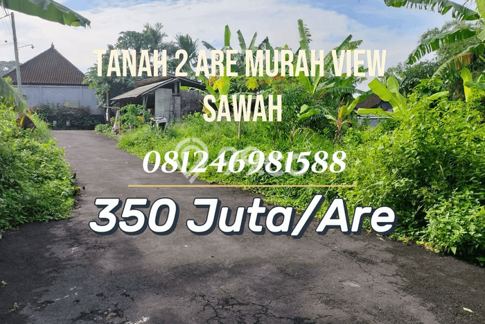 Tanah Dijual di Tabanan Seluas 200m2 Strategis Tanah Dijual di Tabanan Seluas 200m2 Strategis