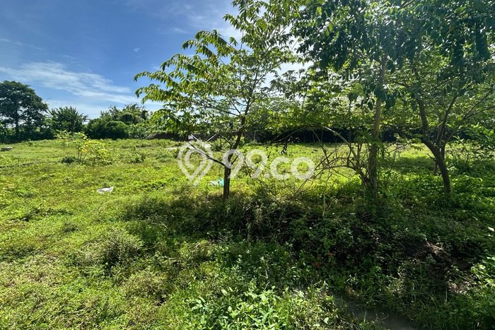 Kavling Tanah untuk Dijual di Nyitdah, Tabanan, Luas 450m2 Kavling Tanah untuk Dijual di Nyitdah, Tabanan, Luas 450m2
