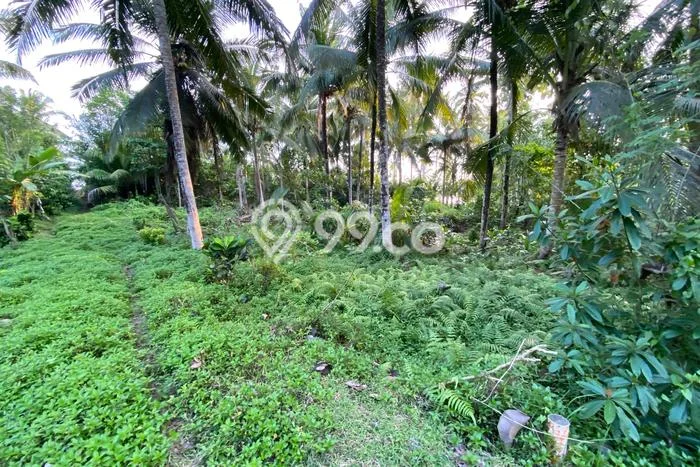 Kavling Tanah untuk Dijual di Lalanglinggah, Tabanan, Luas 500m2 Kavling Tanah untuk Dijual di Lalanglinggah, Tabanan, Luas 500m2