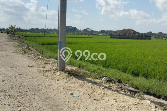 Tanah Kavling Dijual di Tabanan dengan Spesifikasi 735m2 Tanah Kavling Dijual di Tabanan dengan Spesifikasi 735m2
