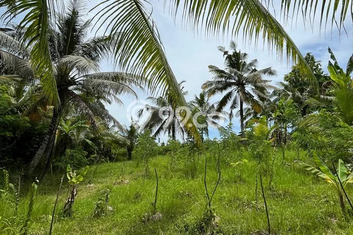 Tanah Siap Bangun Dijual di Tabanan Punya Luas 300m2 Tanah Siap Bangun Dijual di Tabanan Punya Luas 300m2