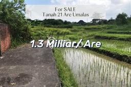 Tanah Kavling Dijual di Umalas, Badung dengan Luas Tanah 2100m2 Tanah Kavling Dijual di Umalas, Badung dengan Luas Tanah 2100m2