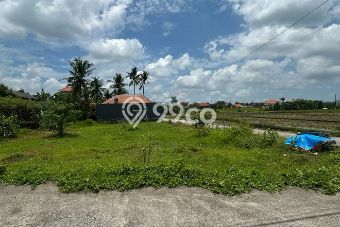 Tanah Kawasan Kediri, Luas 200m2m², Kawasan Bisnis Tanah Kawasan Kediri, Luas 200m2m², Kawasan Bisnis