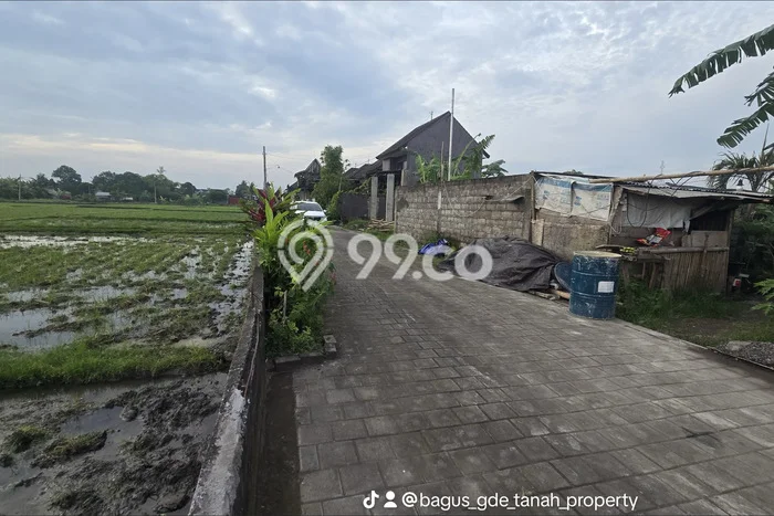 Lahan Dijual Lokasi Strategis di Tabanan dengan Luas 75m2 Lahan Dijual Lokasi Strategis di Tabanan dengan Luas 75m2