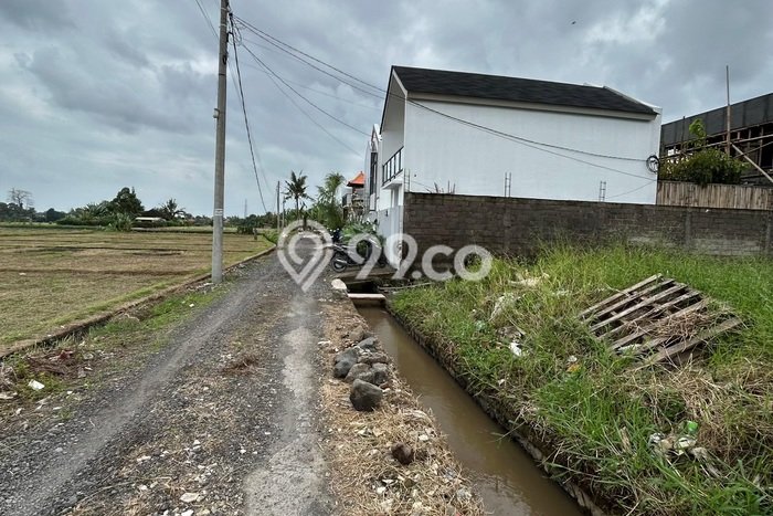 Tanah Dijual Area Strategis di Beraban Tabanan 252m2 Tanah Dijual Area Strategis di Beraban Tabanan 252m2