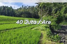 Dijual Tanah Kawasan Lalanglinggah, Luas 2650m2m², Dekat Lalanglinggah, Tabanan, Tabanan Dijual Tanah Kawasan Lalanglinggah, Luas 2650m2m², Dekat Lalanglinggah, Tabanan, Tabanan