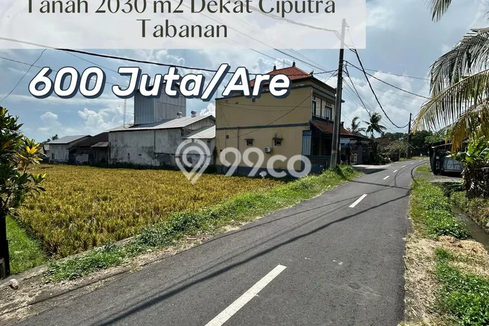 Tanah Komersial Dijual di Kediri Tabanan 2030m2 Tanah Komersial Dijual di Kediri Tabanan 2030m2