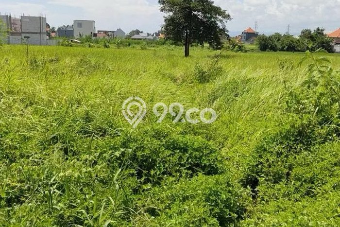 Tanah Area Potensial Kawasan , Luas 6600m2m², Lingkungan Nyaman, Dekat Tabanan, Tabanan Tanah Area Potensial Kawasan , Luas 6600m2m², Lingkungan Nyaman, Dekat Tabanan, Tabanan